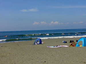 20080807299.jpg