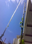 20080807300.jpg